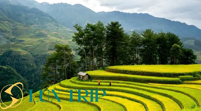 کوههای سا پا ویتنام: راهنمای سفر