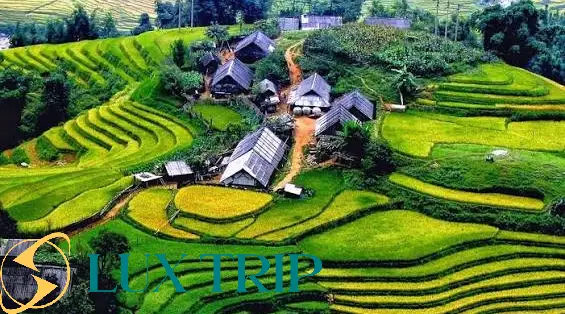 ویتنام به چه چیزی معروفه